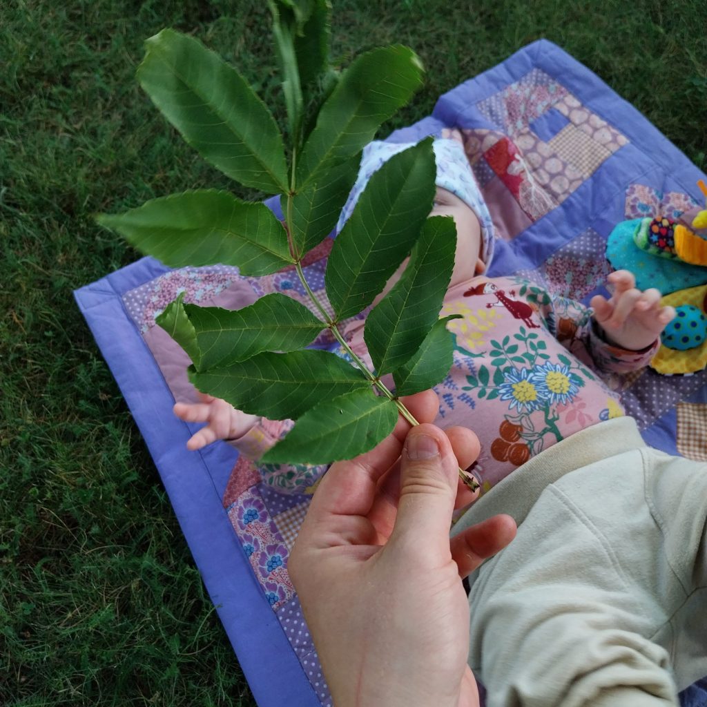 Vauva makaa viltillä nurmikolla
