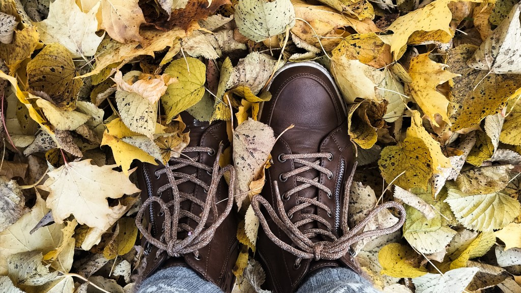 Kuulumisia ruuhkavuosien keskeltä