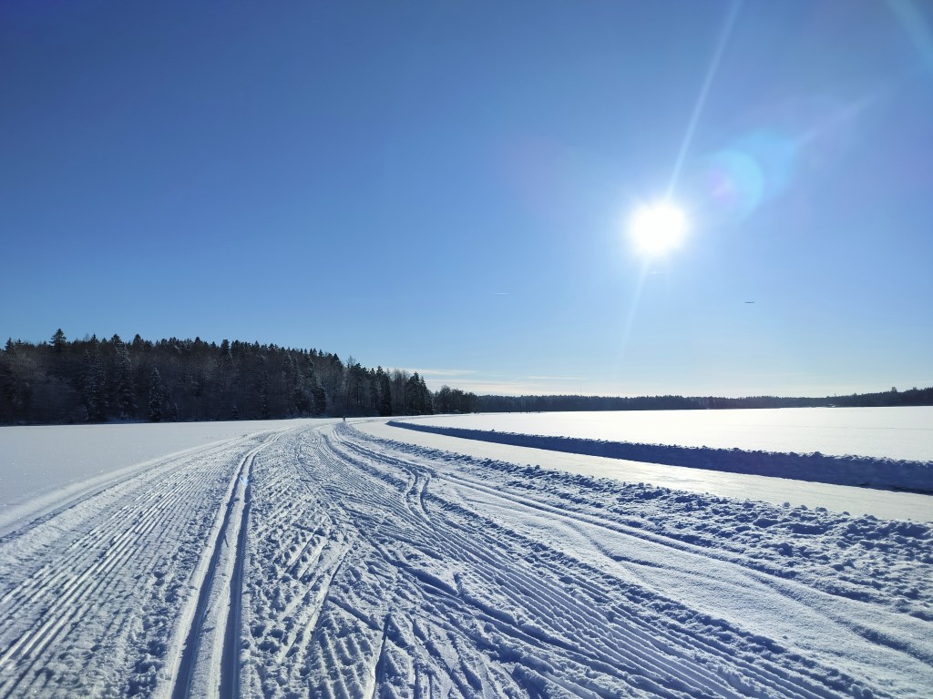 Bodomjärven jääladun lenkki 9km