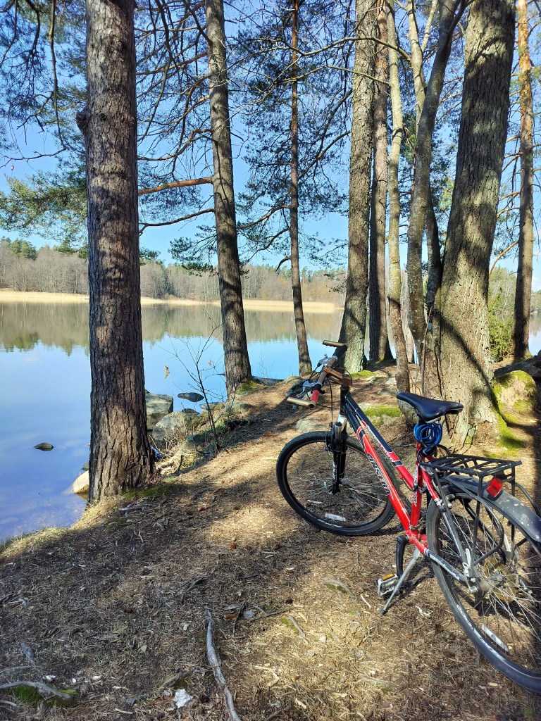 Pyörä järvimaiseman edessä Oittaan ulkoilualueella.