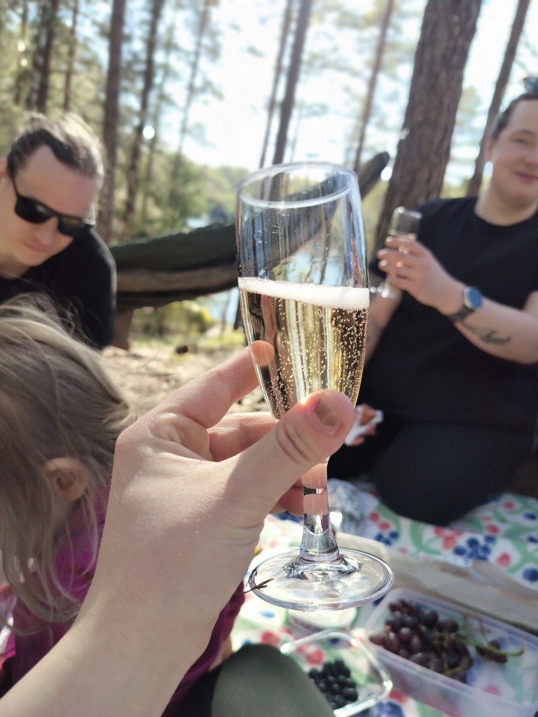 Aikuisia ja lapsi picnicillä luonnon keskellä.