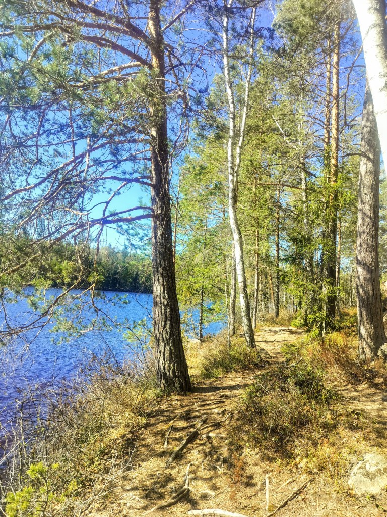 Kaunis keväinen järvimaisema.