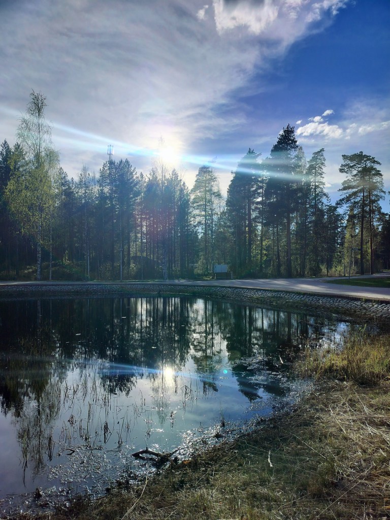 Auringonlasku lammen yllä