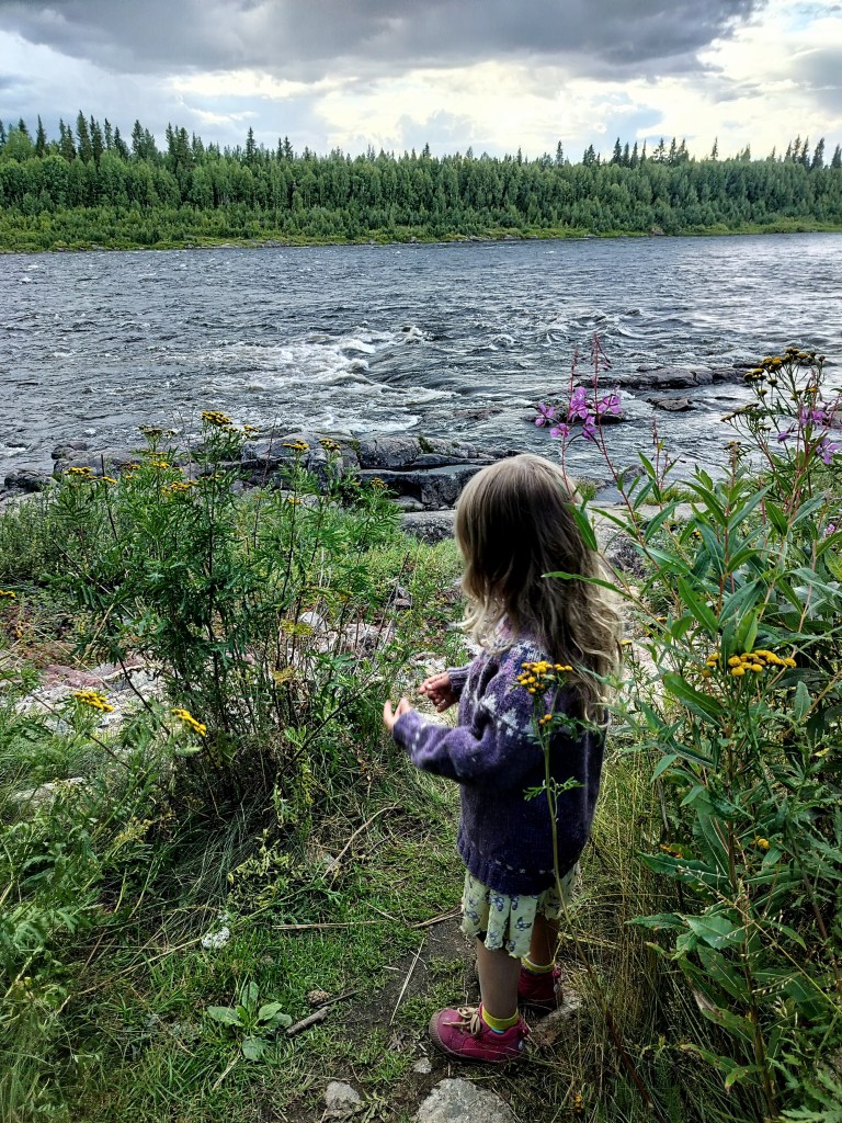Pieni tyttö seisoo kukkien keskellä Tornionjoella. 