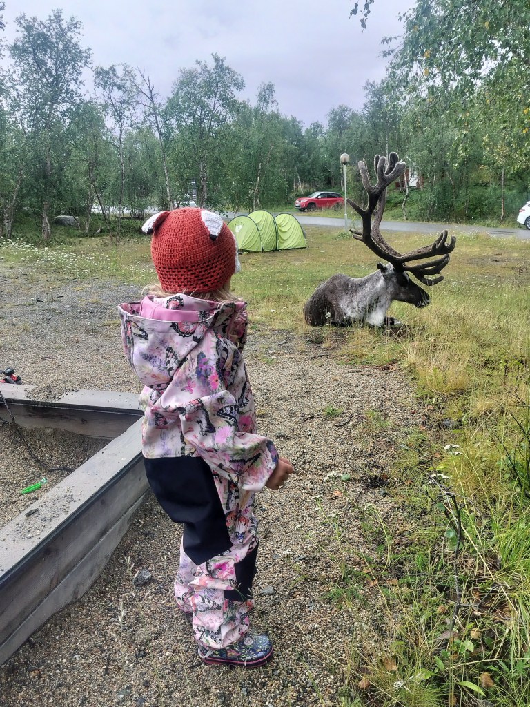 Tyttö katselee valtavaa poroa leikkipaikalla Kilpisjärvellä.